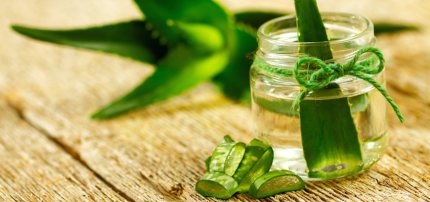 aloeveradetox-850x400.jpg