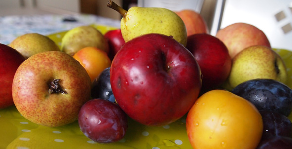 Lekovita svojstva jabuke i kruške