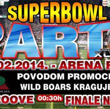 Velika žurka Radničkog, Wild Boars-a i Arene